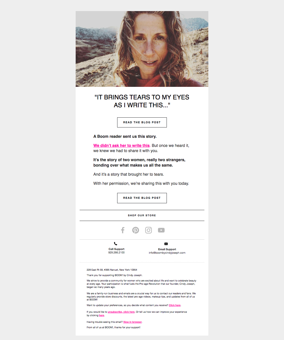 Upsell email four screenshot