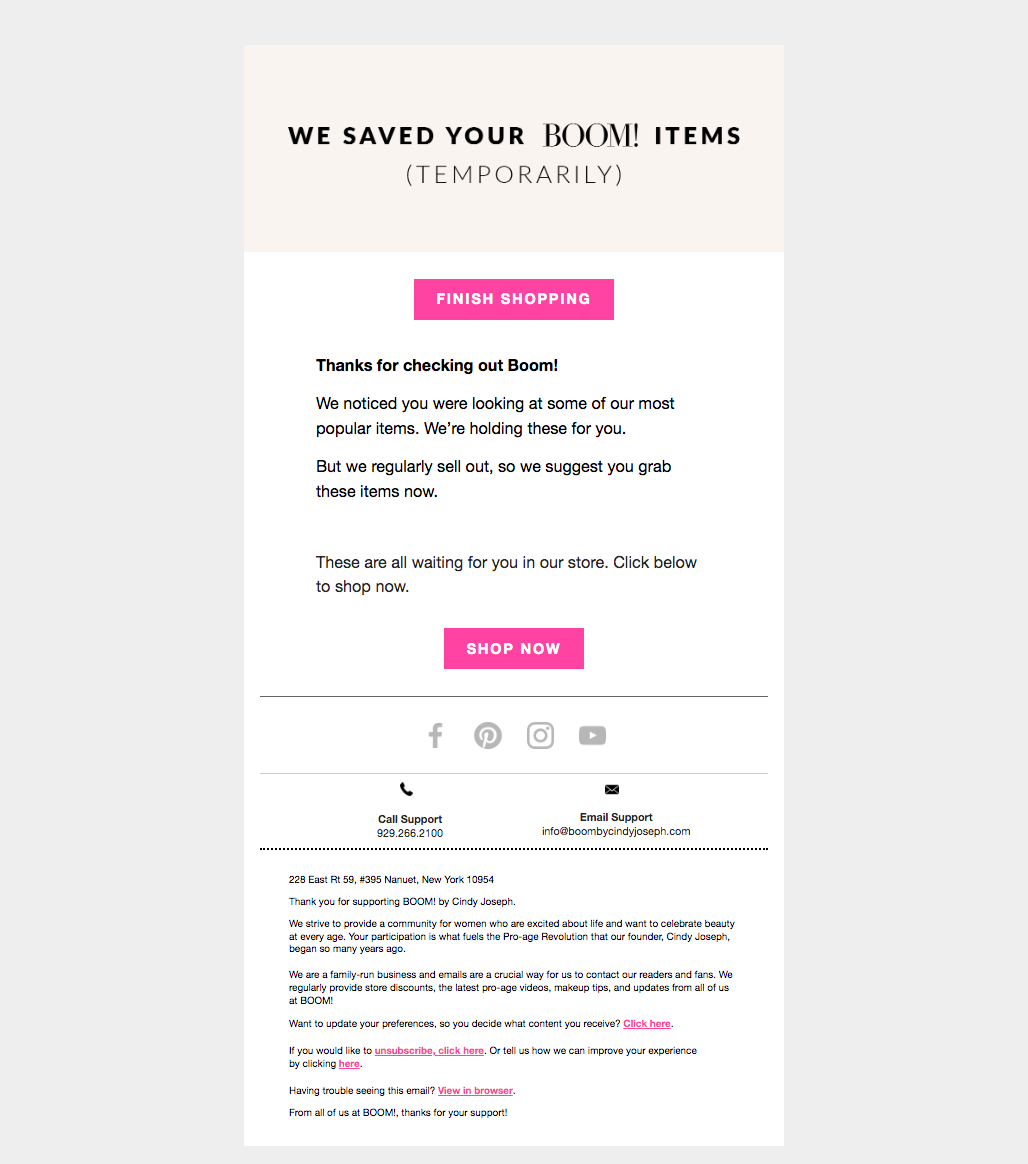 Abandoned cart email one B screenshot