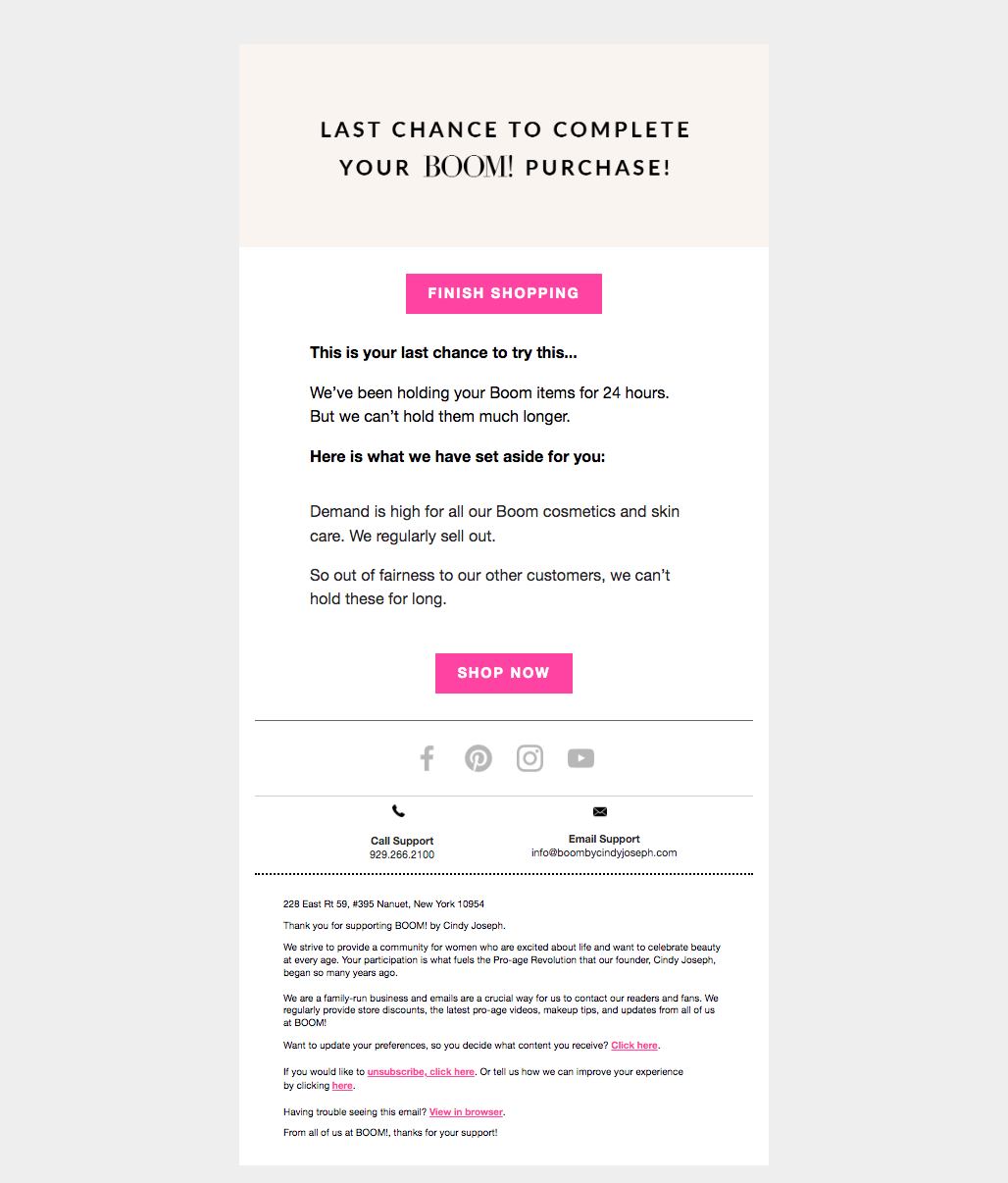 Abandoned cart email two screenshot