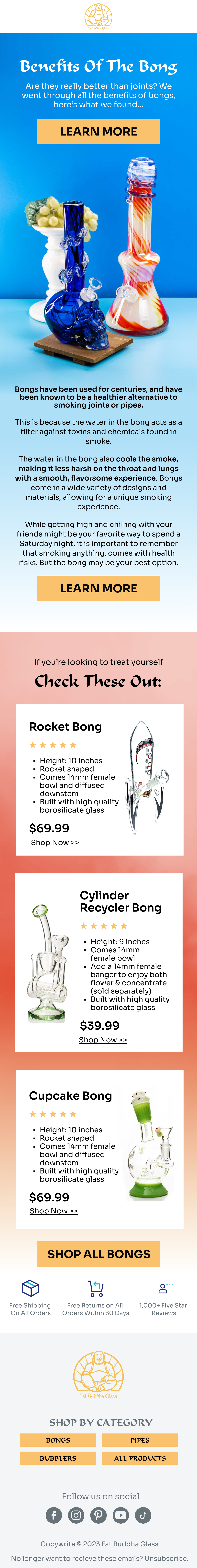 Blog feature email design sample